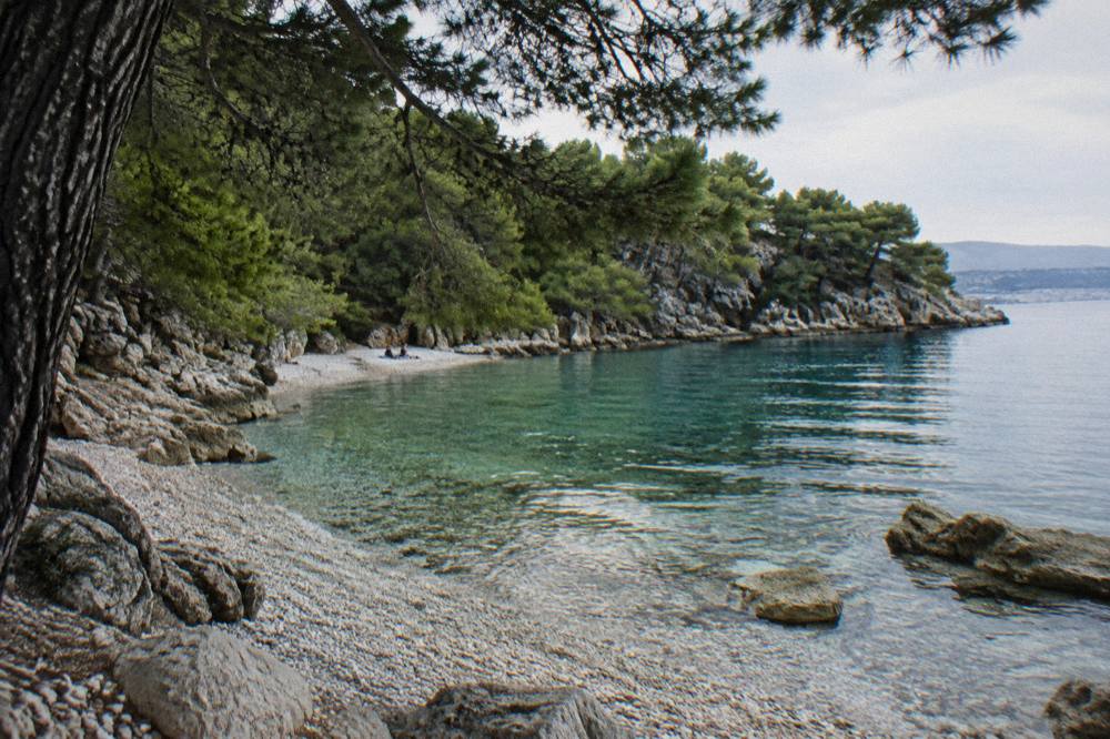 A shaded pebble bay with clear water and pine trees below the Marjan peninsula in Split