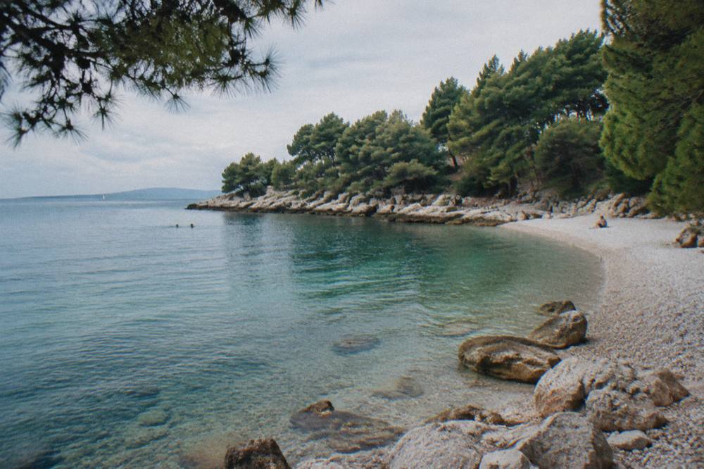 A calm pebble cove with pine trees and clear water below a wooded peninsula