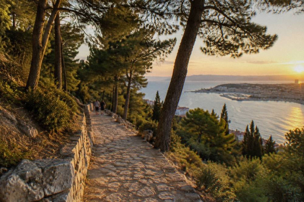 Pine trees and a stone path on Marjan hill above the sea near Split