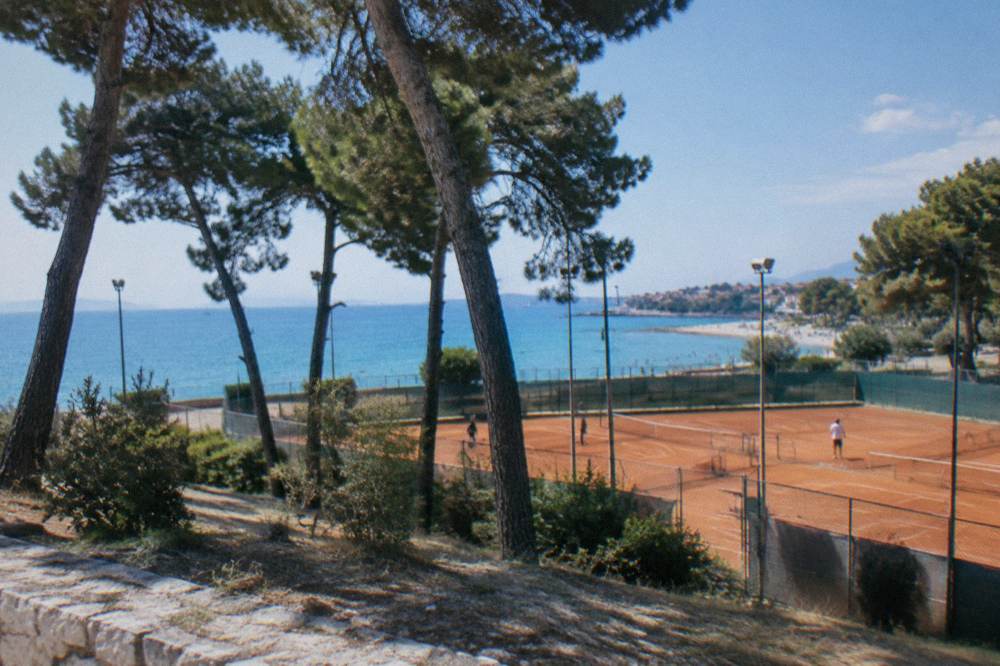 Outdoor tennis courts behind pine trees near the sea