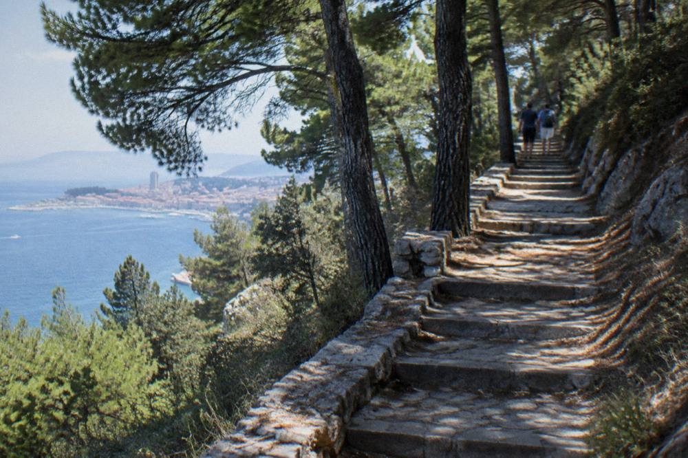 A narrow stone stairway climbing a pine covered hillside above the sea