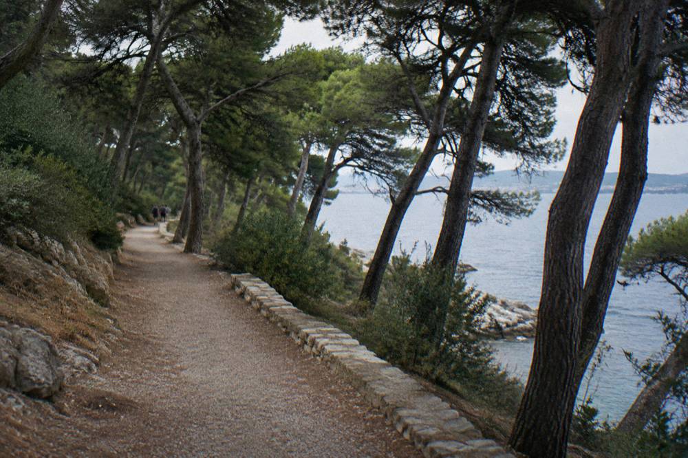 A shaded seaside path under pines on the Meje side of Marjan with the sea glimpsed between trunks