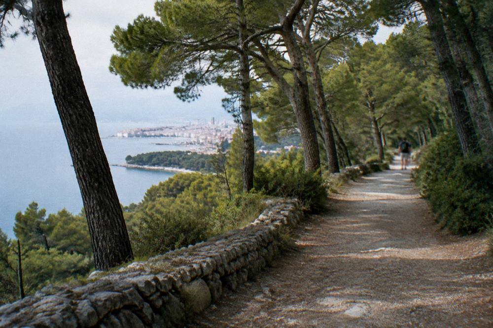 Pine woodland on Marjan hill in bright summer light with deep shade on the path