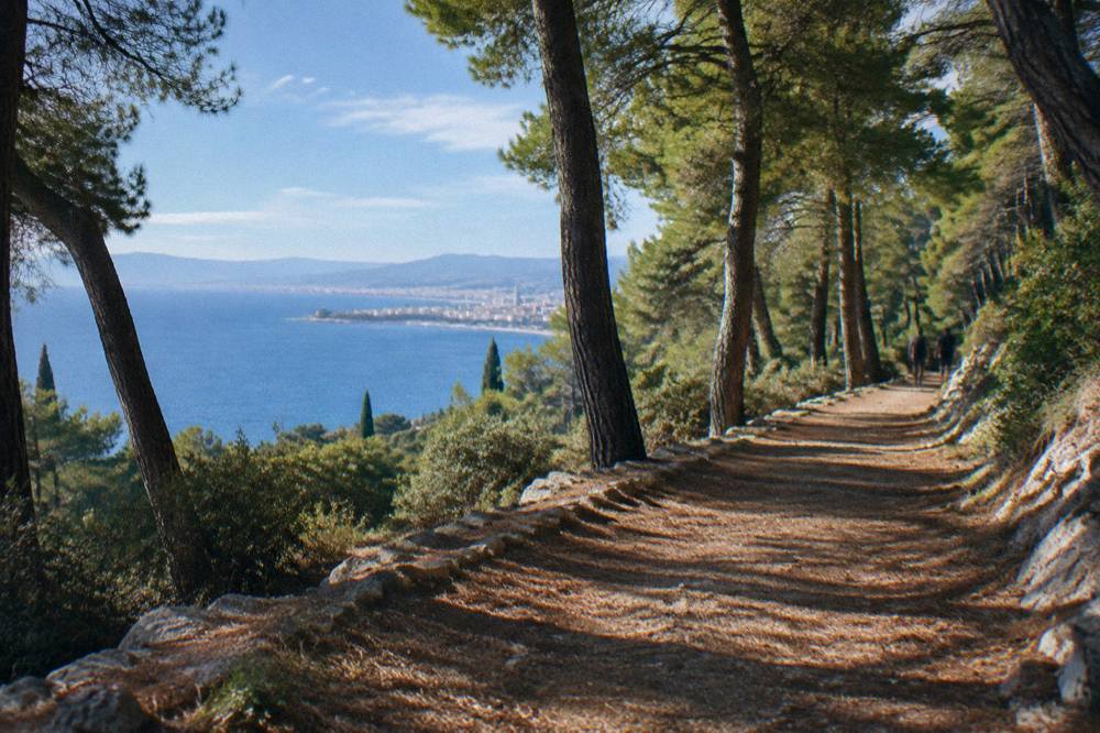 A quiet wooded hill path in late afternoon with long soft shadows and fallen pine needles