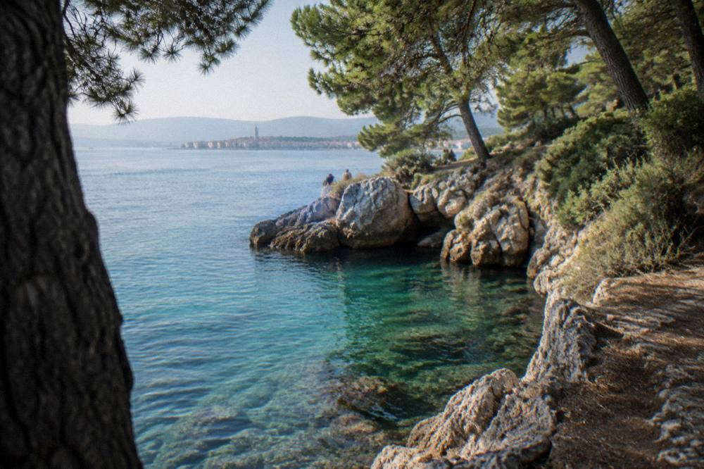 Rocky cove with clear turquoise water beneath pine trees on the Marjan coast