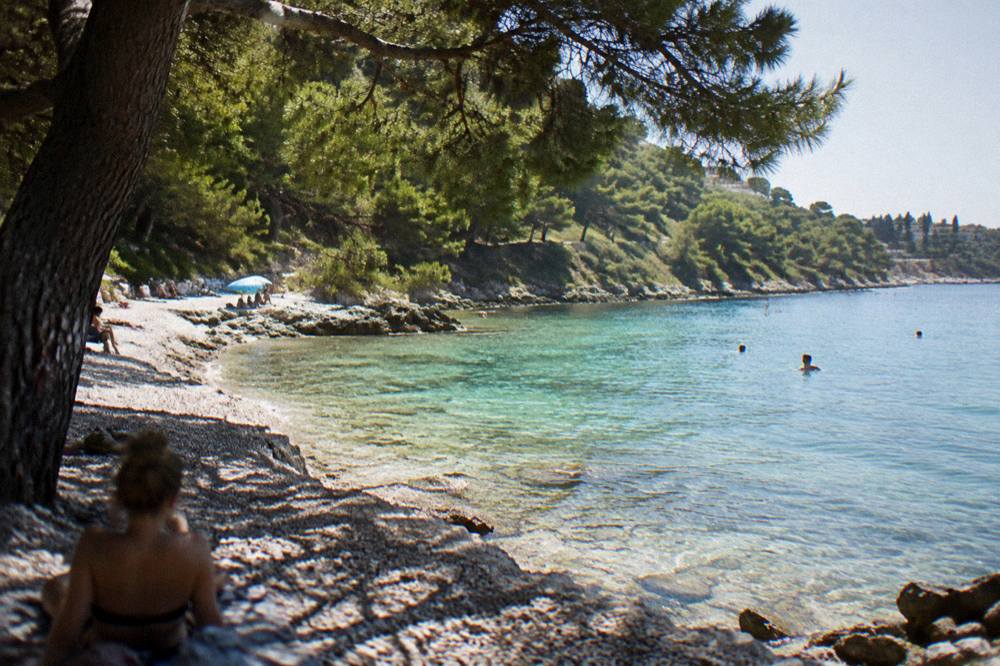 Pebble cove with pine trees above clear water at the foot of a wooded hill