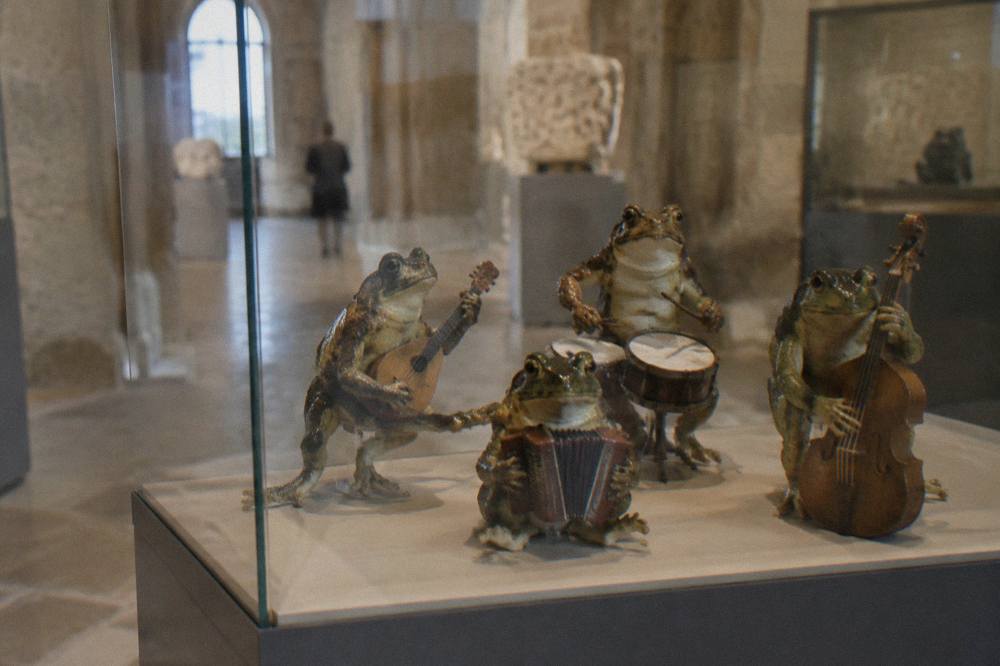A glass display case with frogs posed as musicians holding tiny instruments