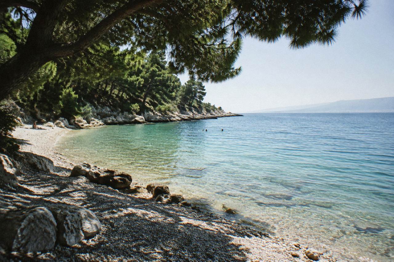 A quiet pebble cove with clear shallow water and pine trees above the shore