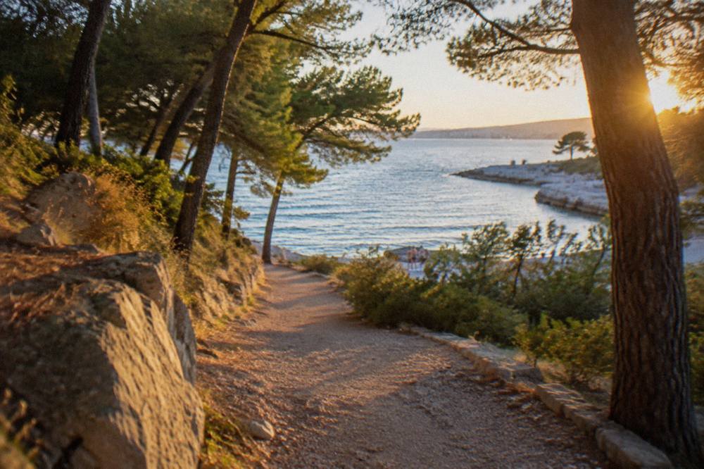 A gravel path through pine woods on the Marjan peninsula leading towards the sea