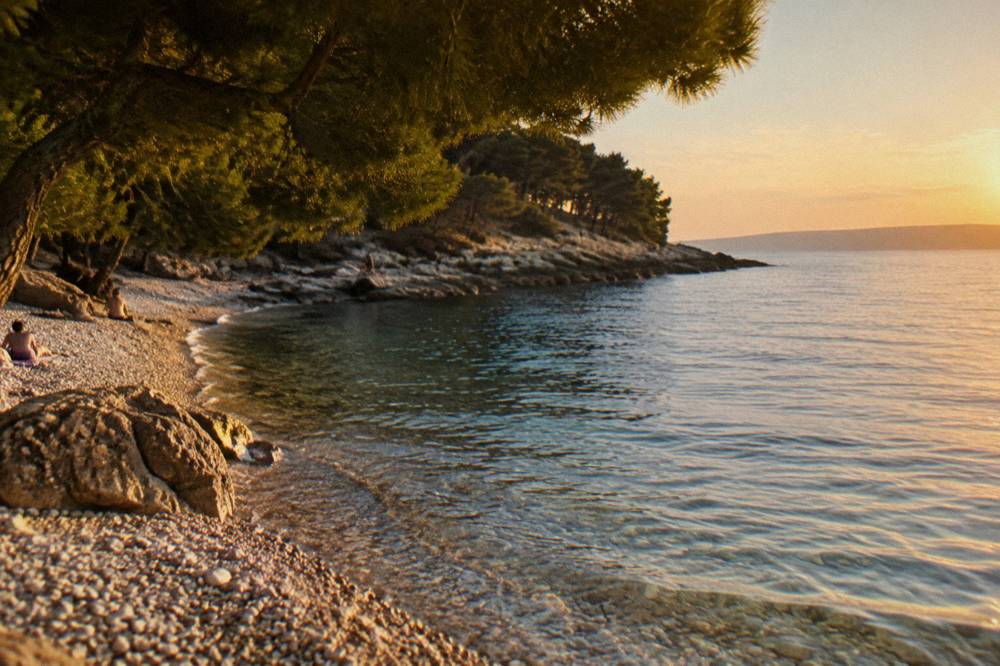 Pebbles and clear shallows at the water's edge with pine shade behind