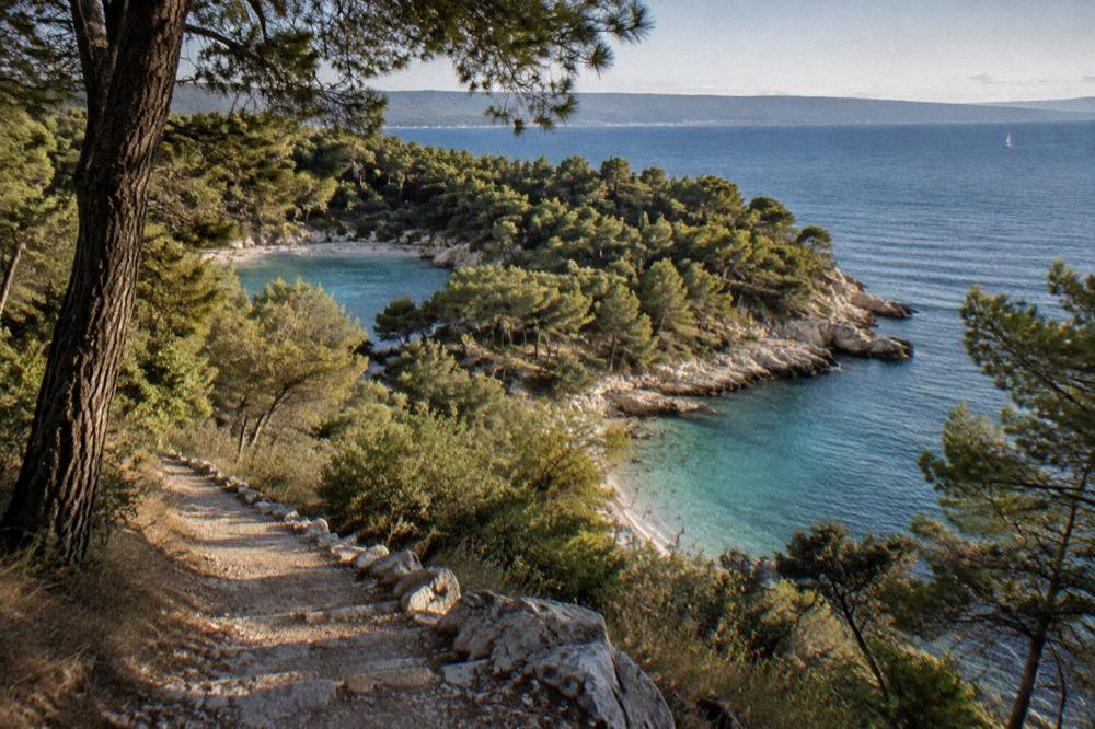 Two coves on a green peninsula seen from a high wooded path