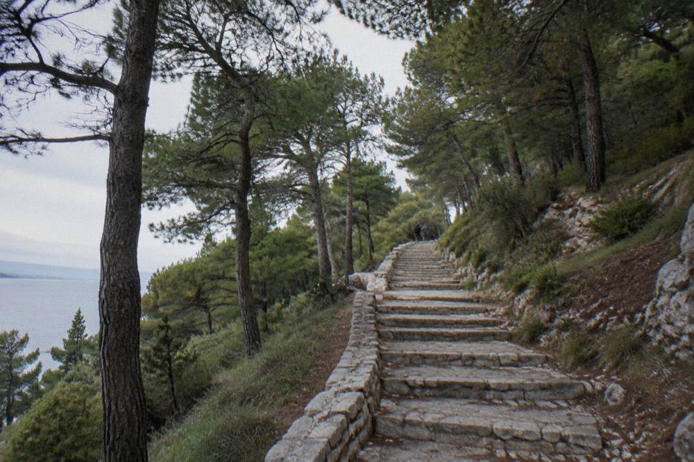 A stone staircase winding up through pine woods on the Marjan hill in Split