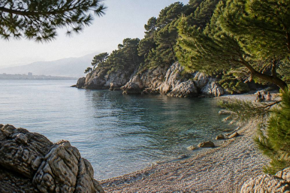 A pebble beach cove with clear water below pine covered cliffs on the Marjan peninsula