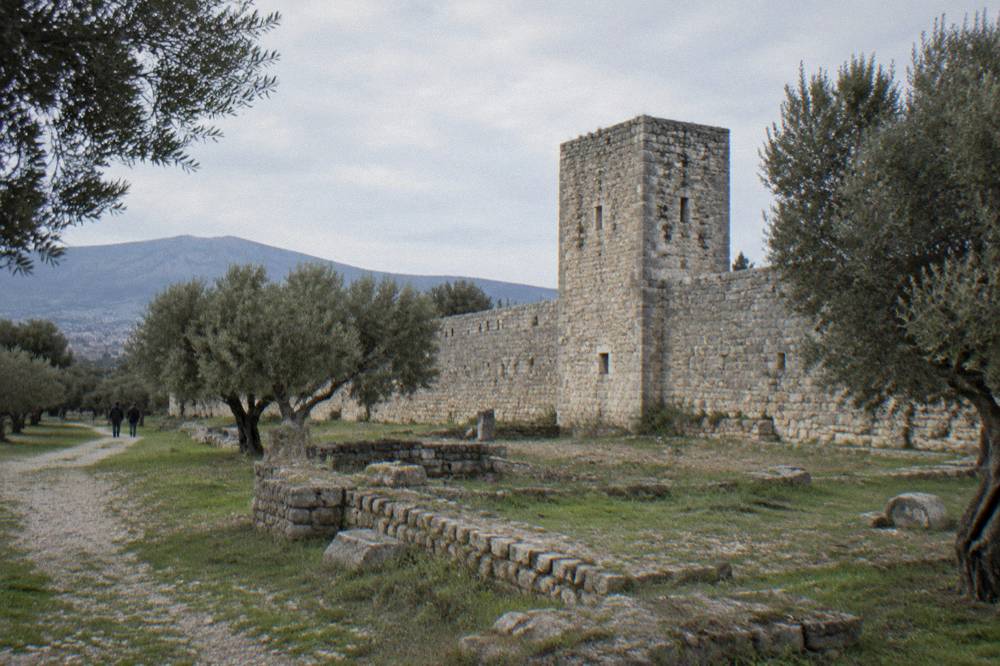 Stone defensive wall with a rectangular tower running through olive trees at the Salona site