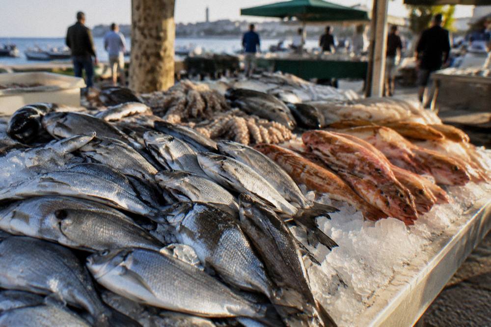 Close view of fresh fish laid out on ice at an outdoor market counter