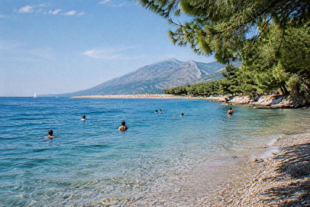 People swimming near a pebble beach with pine trees close to the waterline