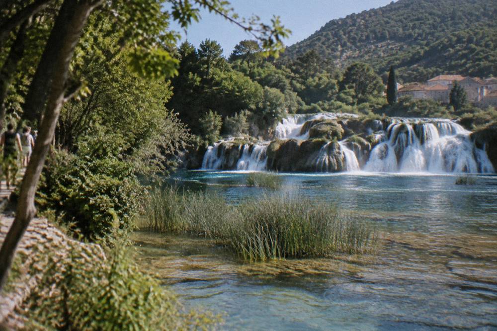 Clear river water flowing over travertine barriers with reeds