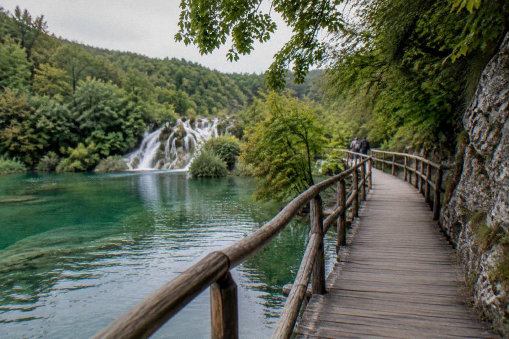 Wooden walkway over a green river inside a forested national park