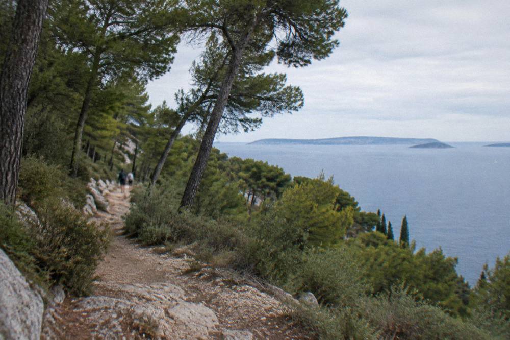 A pine covered hillside path above the sea with islands on the horizon