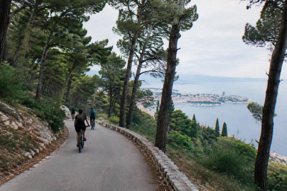 Cyclists riding a paved path through pine forest on Marjan hill above Split