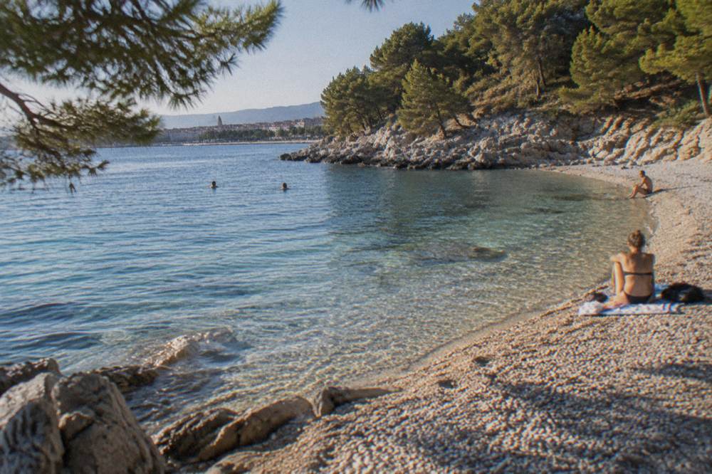 A quiet pebble cove beneath a pine-covered hillside with clear shallow water over pale stones