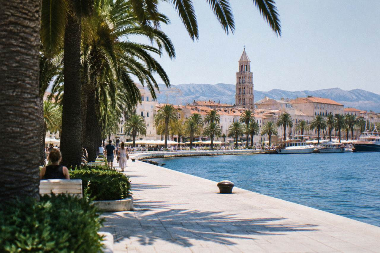 The seafront promenade in Split with palm trees and the palace rooftops behind