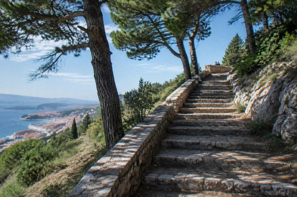 An empty stone staircase climbing through pine woods towards a hilltop lookout in soft light