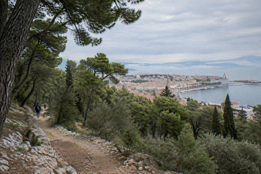 Wooded slopes of Marjan peninsula above the rooftops and sea of Split
