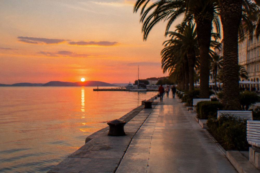 Warm evening light on the seafront and palm trees along the Riva in Split in autumn