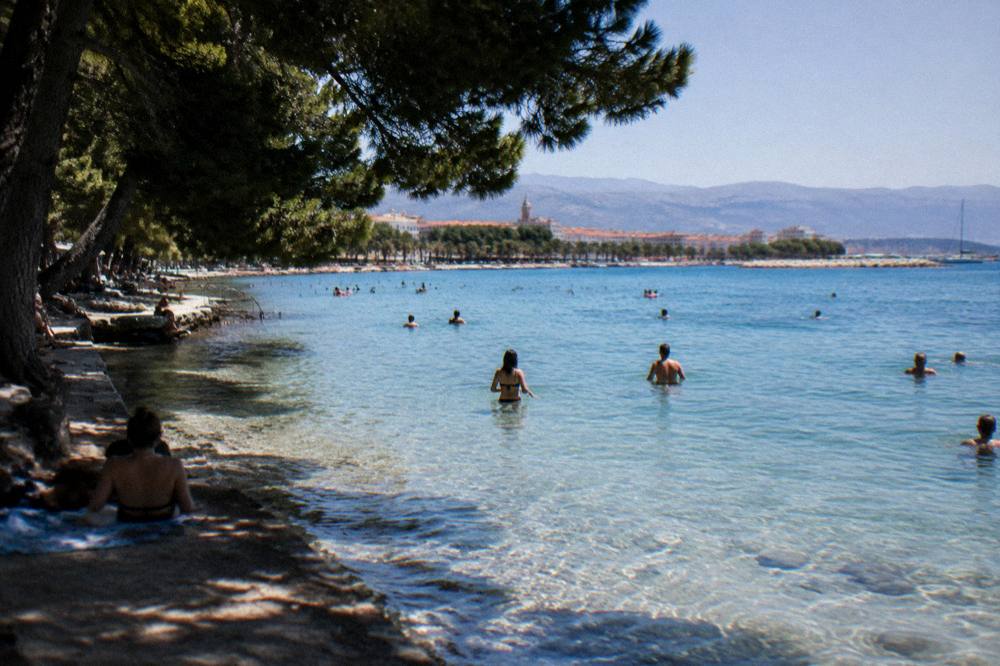 Swimmers in clear shallow water at a city beach with pine shade along the shore