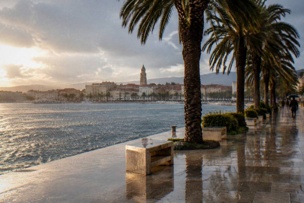 Rain falling on the sea and palm trees along the Riva promenade in Split