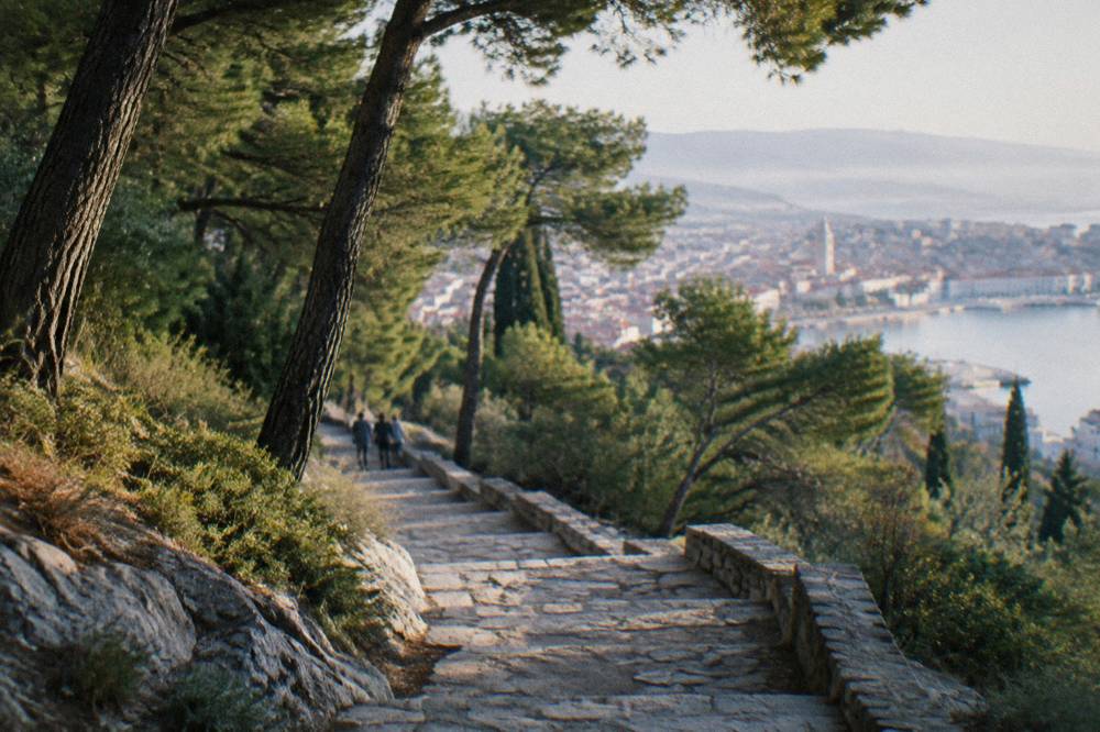 A stone stairway climbing through pine forest on Marjan hill above Split